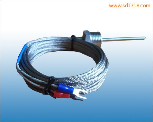 固定熱電偶WRNM-301A