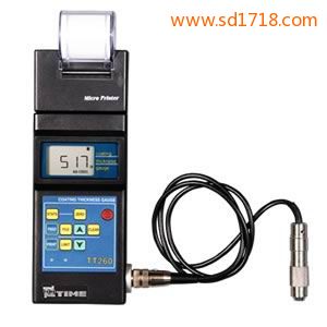 智能涂層測厚儀TT260+w101