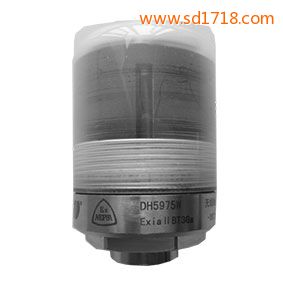 無線狀態監測器DH5975W