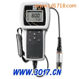 便攜式溶解氧測定儀550A-12