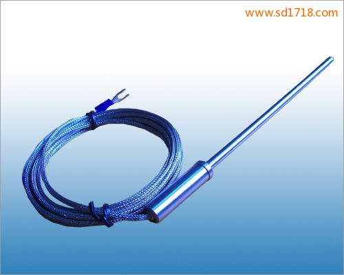 線纜熱電偶WRMN-204